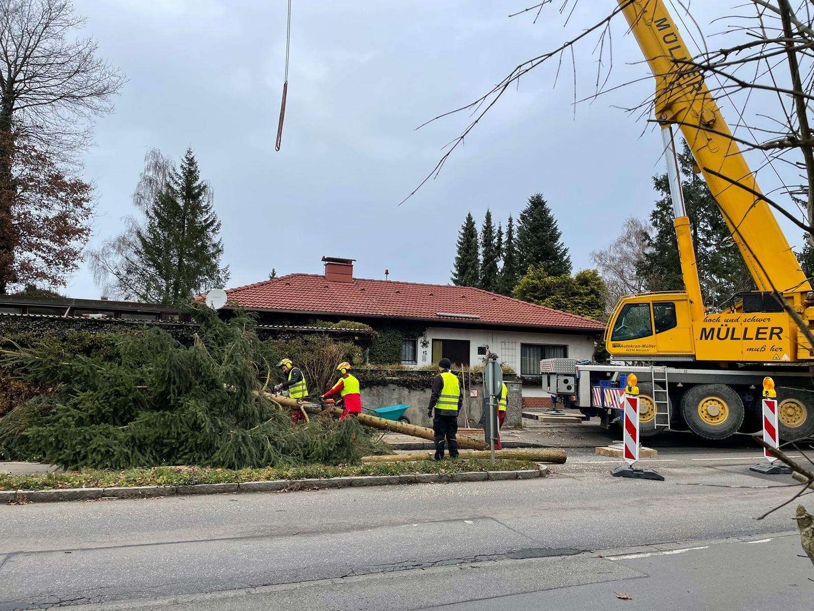 Baum wird mit Autokran auf Straße gehoben und zerkleinert